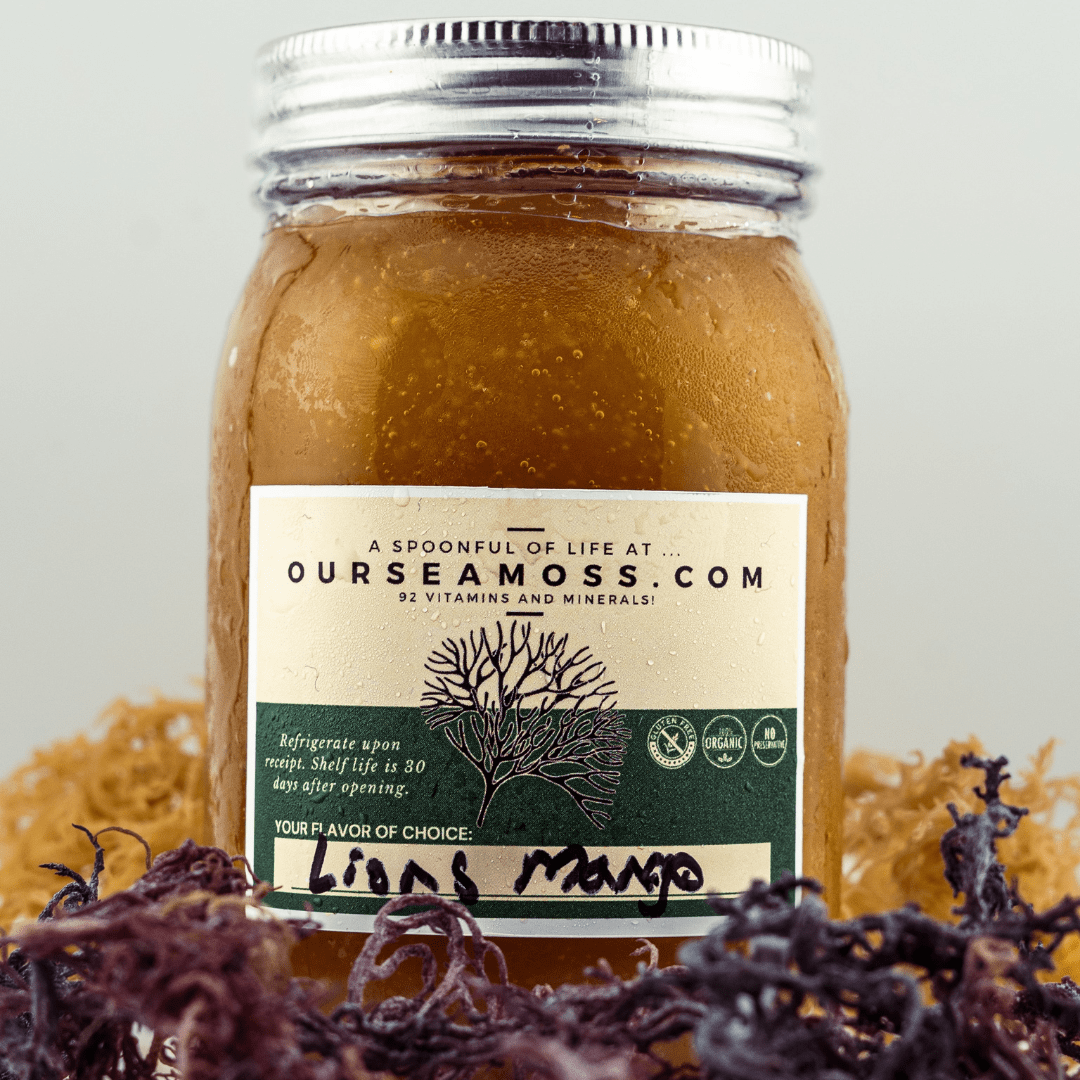 Lions Mane Infused Wild Harvested Sea Moss Gel (Made Fresh To Order Everyday)