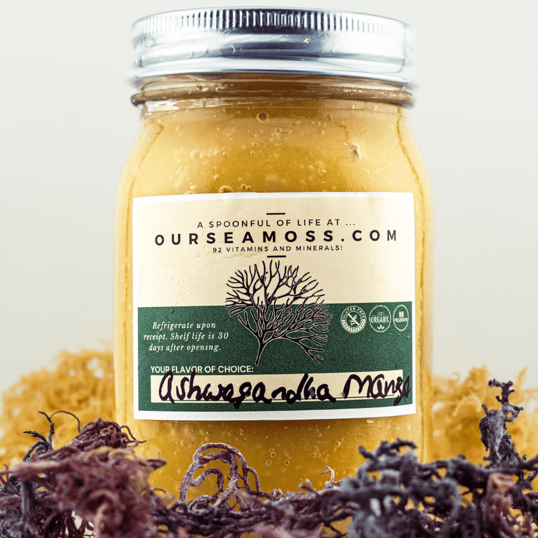 Ashwagandha Infused Wild Harvested Sea Moss Gel (Made Fresh To Order Everyday)